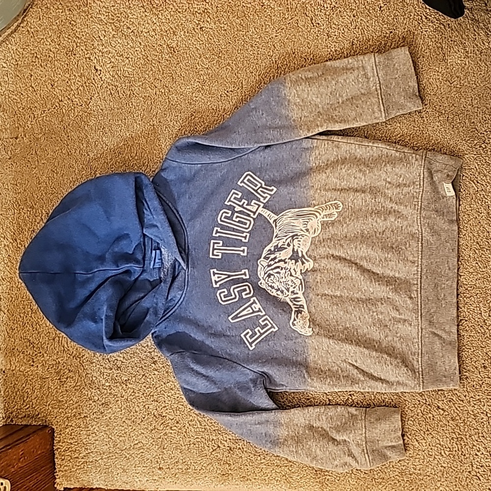 GAP Toddler Hoodie Size 5T
